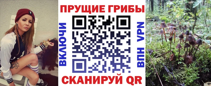 Галлюциногенные грибы Magic Shrooms  Карасук 